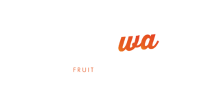 Logo bicolore dell'agenzia Creatiwa